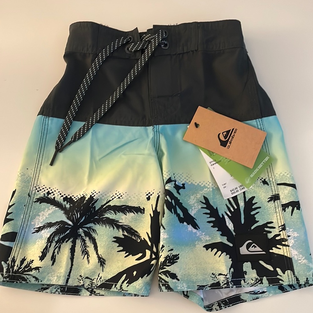 Quick silver swimming trunks